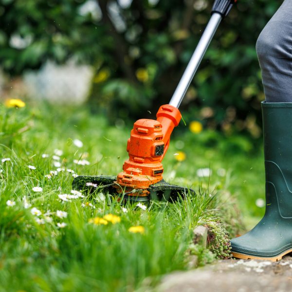 Grass trimmer. Woman is cutting grass in garden. Lawn care in spring